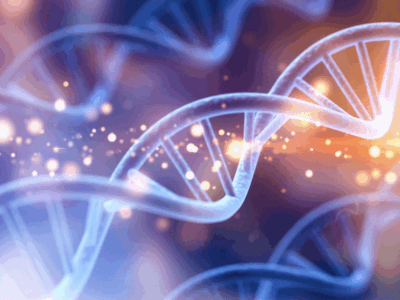 The Biochemical Mechanism of Longevity